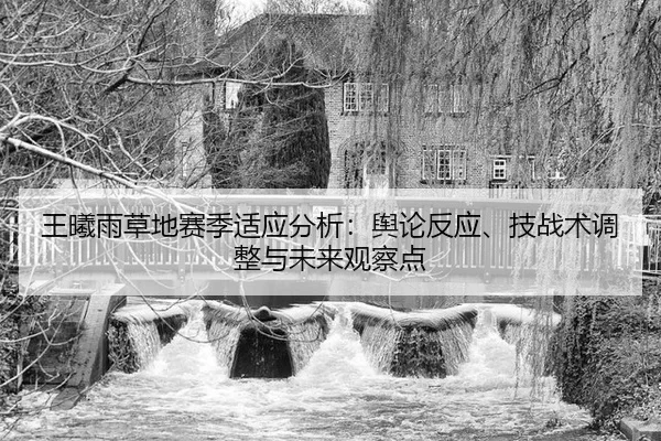 王曦雨草地赛季适应分析：舆论反应、技战术调整与未来观察点