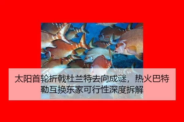 tai-yang-shou-lun-zhe-ji-du-lan-te-qu-xiang-cheng-mi-re-huo-ba-te-lei-hu-huan-dong-jia-ke-xing-xing-shen-du-chai-jie-2-852.jpg